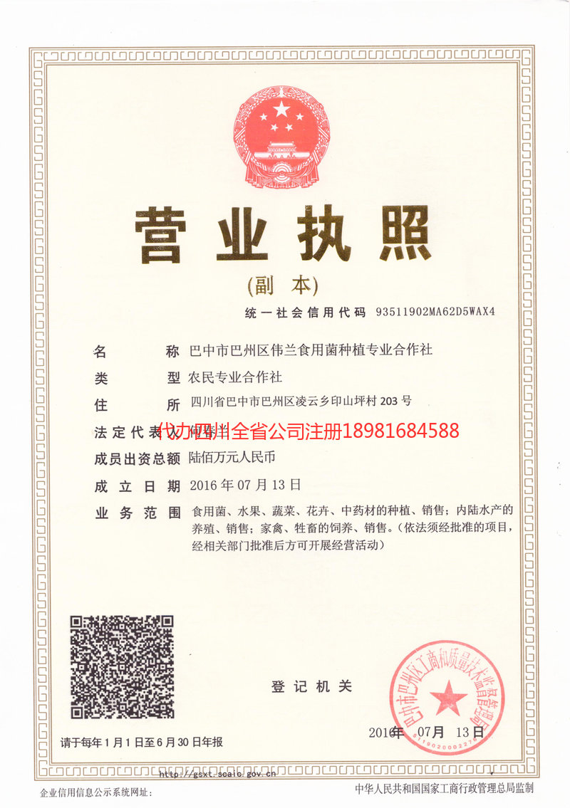 靖西靖西伟兰食用菌种植专业合作社